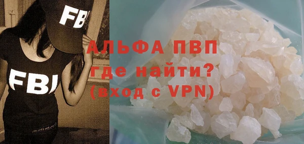 ГАЛЛЮЦИНОГЕННЫЕ ГРИБЫ Белокуриха
