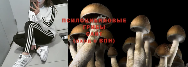 МДПВ Беломорск
