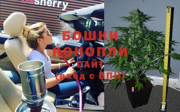 ГАЛЛЮЦИНОГЕННЫЕ ГРИБЫ Белокуриха