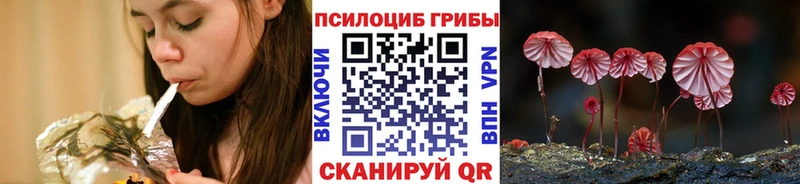 даркнет сайт  Щёкино  Галлюциногенные грибы мицелий 
